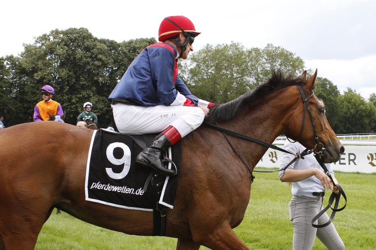 „Leichte Sache“ – Fazenda´s Girl behält weiße Weste