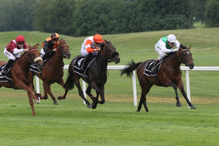 Fearless King fliegt zum Sieg und jetzt ins Zukunftsrennen