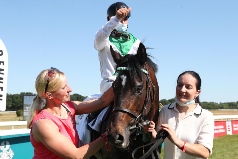 Fearless King (Archiv)