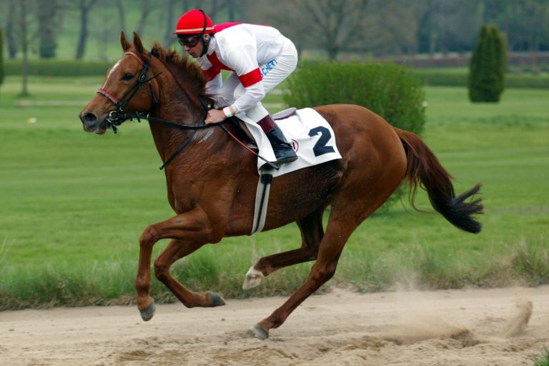 Sport-Welt TV Vorstellung der sieben Zwerge