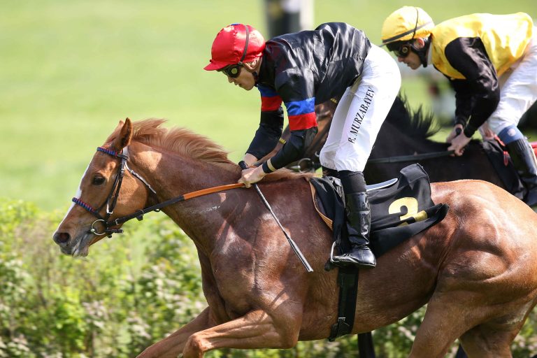 Elf Stuten am Samstag im Düsseldorfer Diana-Test