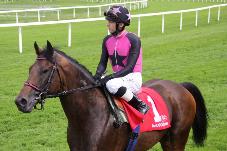 Deckhengst Feuerblitz nach Koppelunfall abgetreten