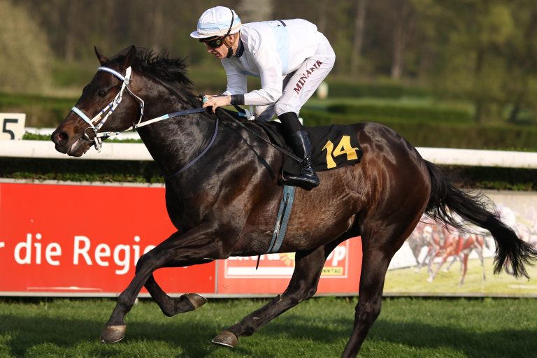 Besser hätte man den Film nicht drehen können