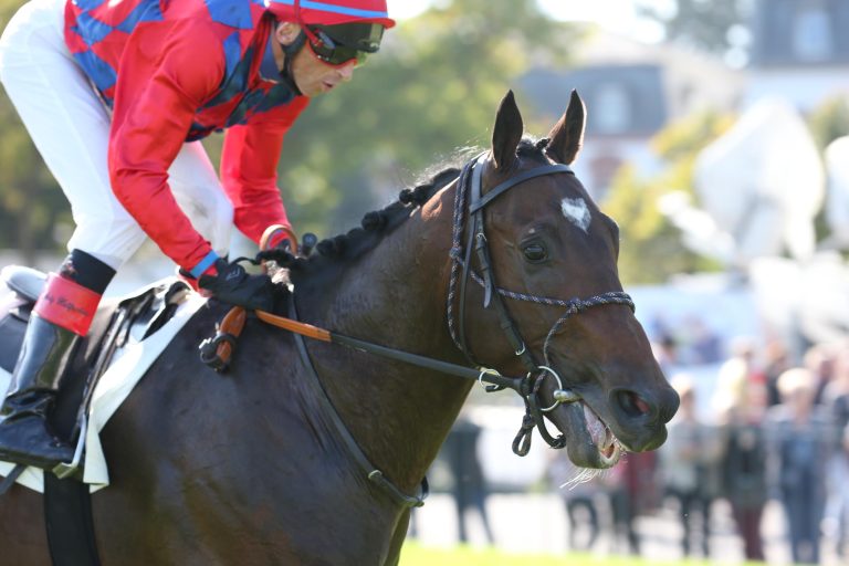 Finoras jetzt bei Jens Hirschberger