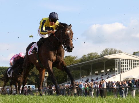 Offenes Dresdener Saisonhighlight