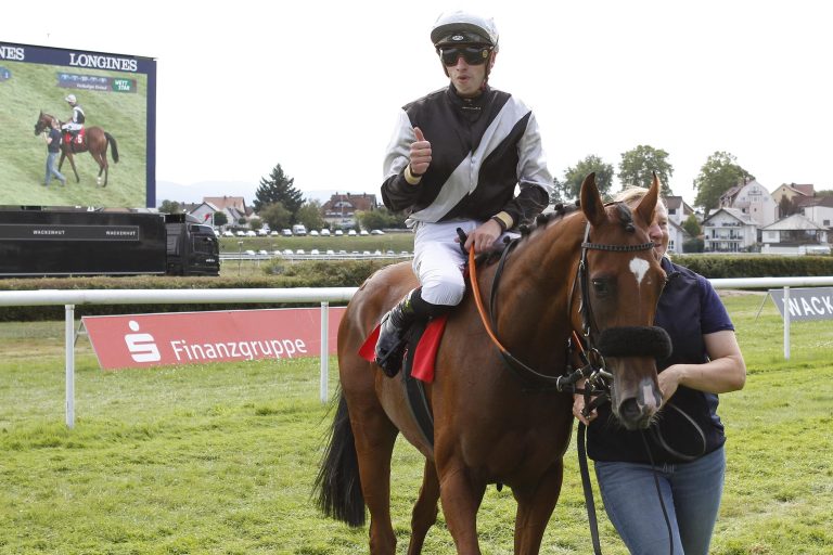 Zweiter Start für Wallach Flamingo Girl