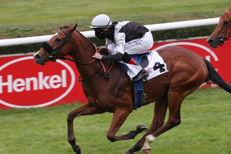 Jetzt als Wallach unterwegs – Flamingo Girl zurück in Weidenpesch