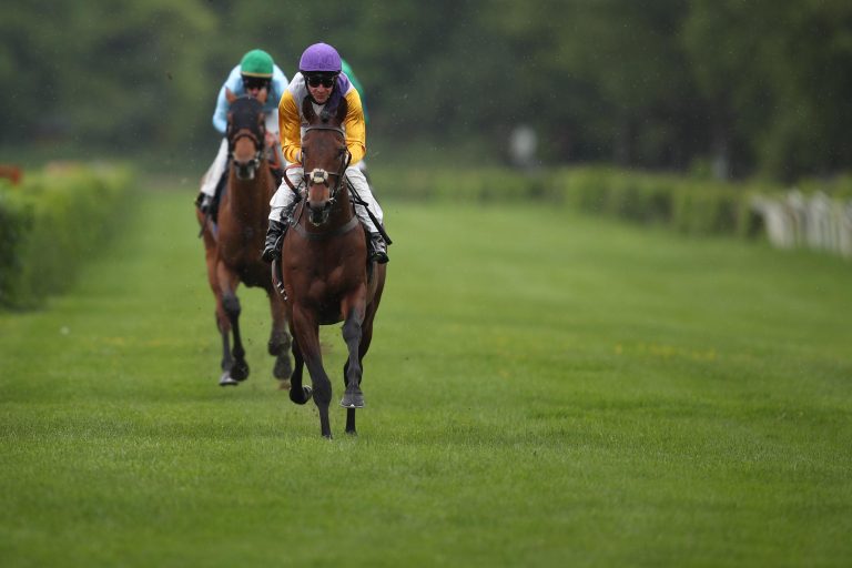 Flamingo Hollow gewinnt mit Umgucken