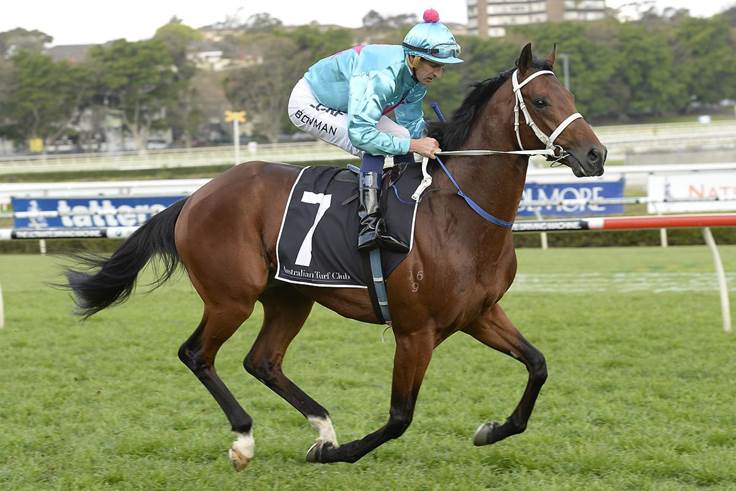 Flamingo Star Fünfter in Caulfield-Handicap