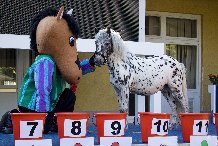 Flecki sagt Birthday Prince holt die Goldene Peitsche