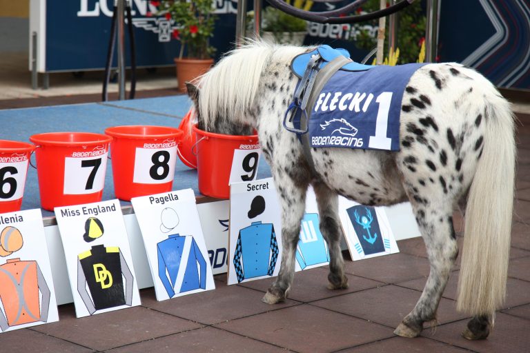Geheimnis gelüftet – Flecki orakelt Secret