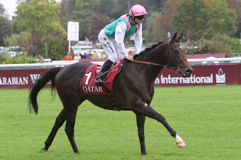 Flintshire als Deckhengst nach Frankreich