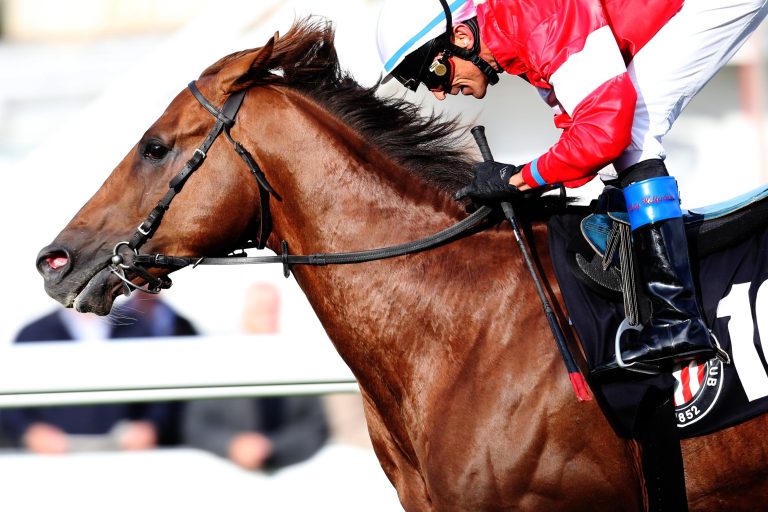 Start ins Sparkassen Ostsee-Meeting am Freitag