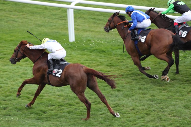 Auch Forgo jetzt Doppelsieger an der Alster