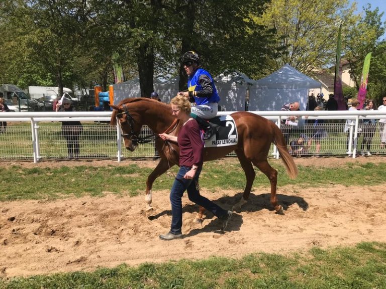Northern Fox meldet sich mit Sieg zurück