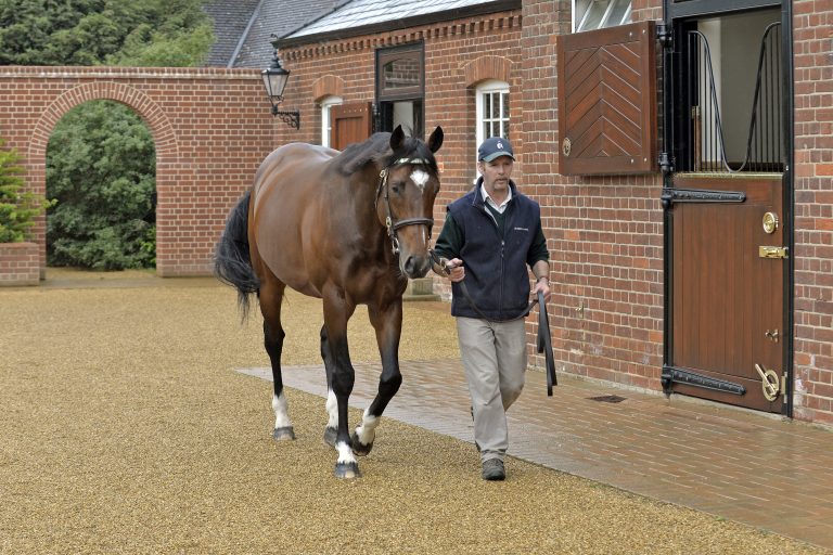 Heute um 15:00 Uhr läuft der erste Frankel!