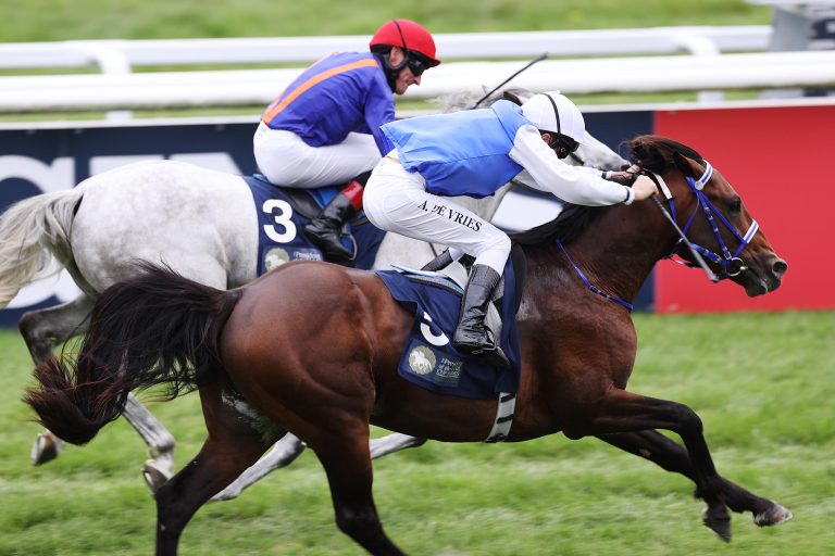 Der Schimmel Messi knapp hinter Freddy Py