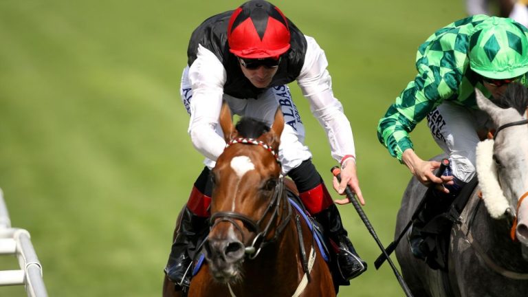 „Free Eagle – Free Return-Projekt“