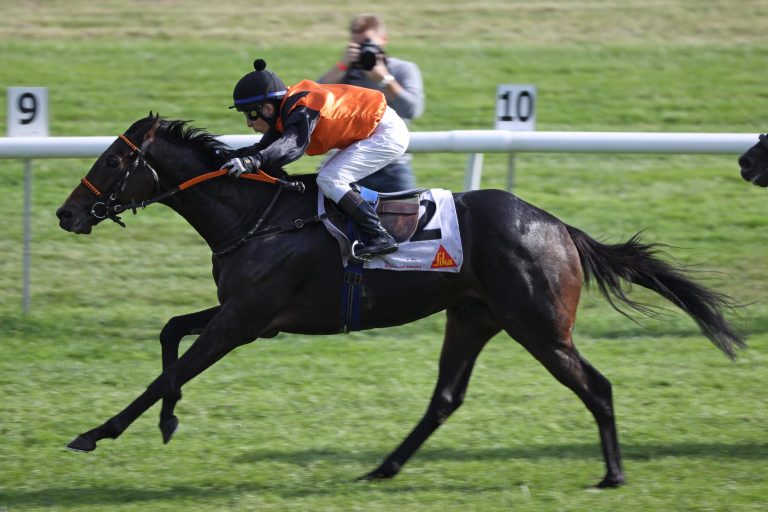 Free Lips vorne – Gavin Ashton happy