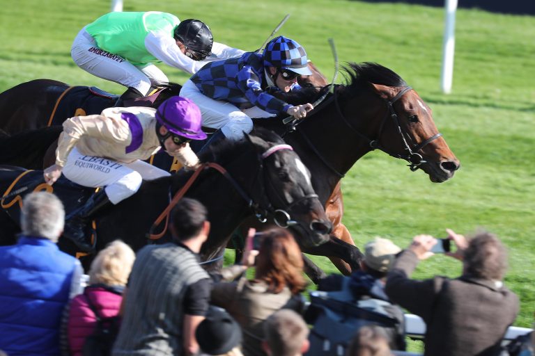 Fuego Del Amor fängt Nadelwald im Ausgleich I ab