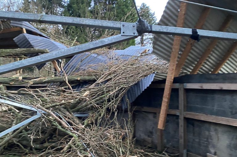 Sturm zerstört Führmaschine am Weißmeier-Quartier