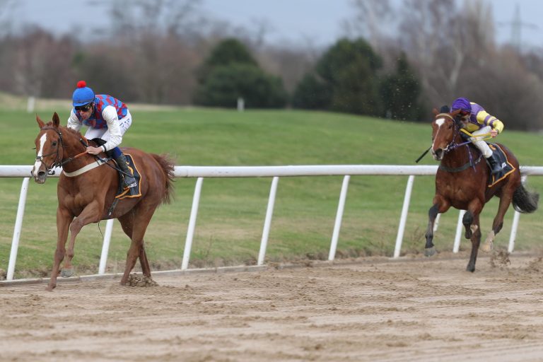 Favoriten-Einlauf zum Auftakt in Dortmund