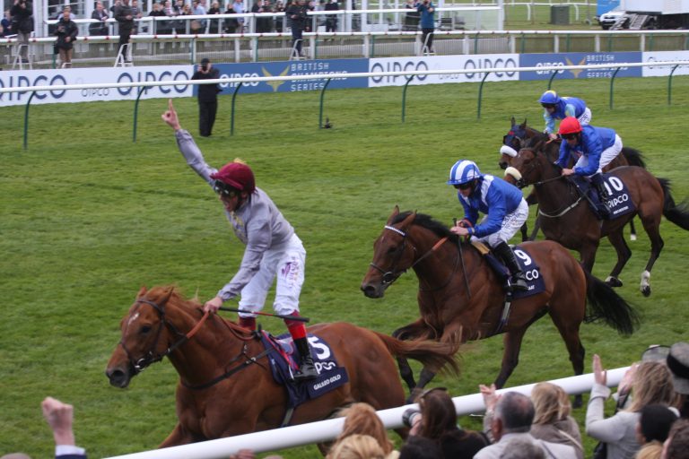Galileo Gold muss Rennkarriere beenden