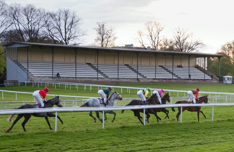 Leere Ränge waren 2020 leider Standard