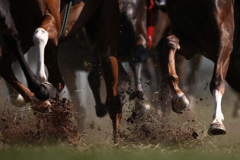 Lord Fandango am Samstag im Ballarat Cup