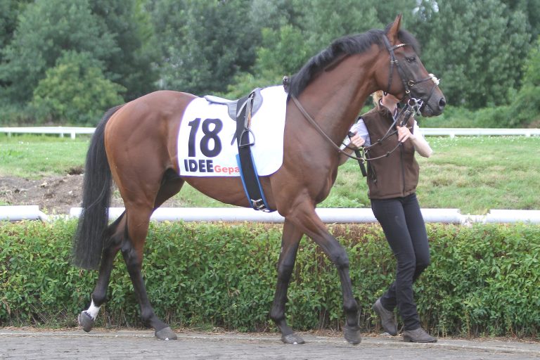 Gepard-Sieg und Schleusner-Einlauf auf der Heimatbahn