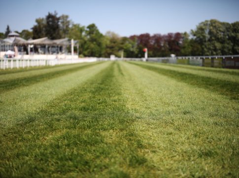 Kölner Saisonauftakt: Es sieht nach Boden gut bis weich aus