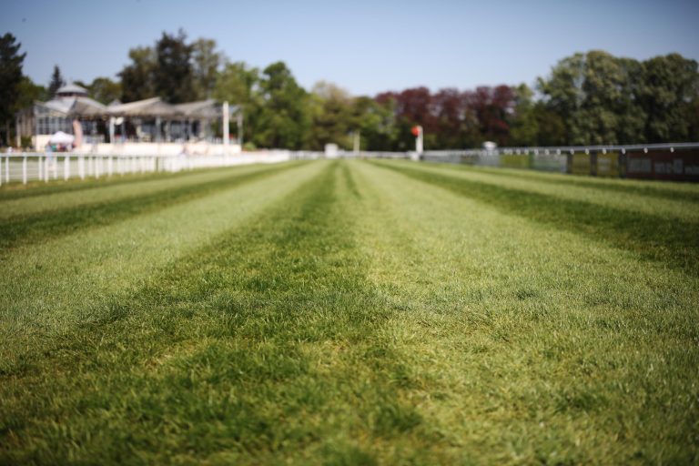 Kölner Pfingstmontag im Wett-Check