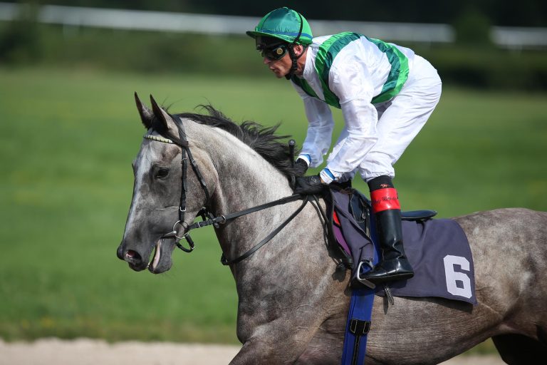 Webenheimer Bauernfest mit Startern von Markus Klug