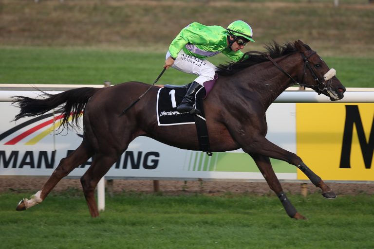 Acht Rennen am Freitagabend in Dortmund