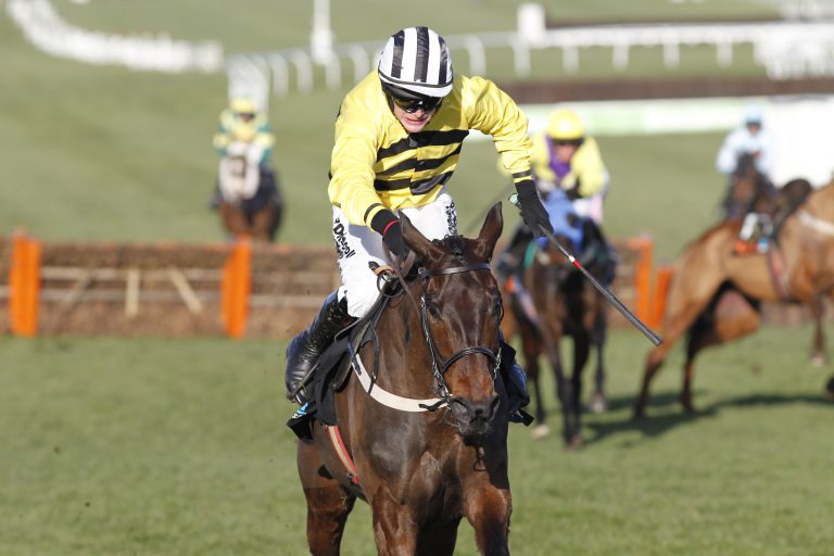 Mullins‘ Glens Melody geht in die Zucht
