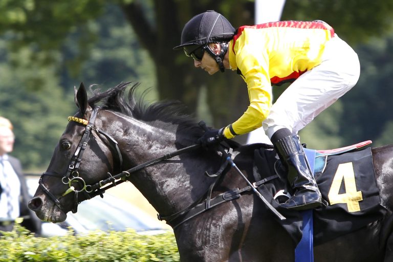 Global Bang wird Deckhengst in Tschechien