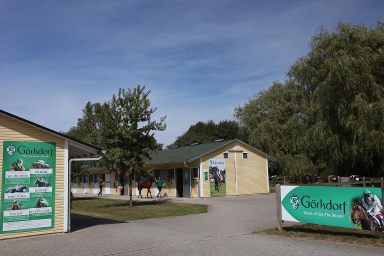 Drei Görlsdorfer Chancen auf den Erfolg