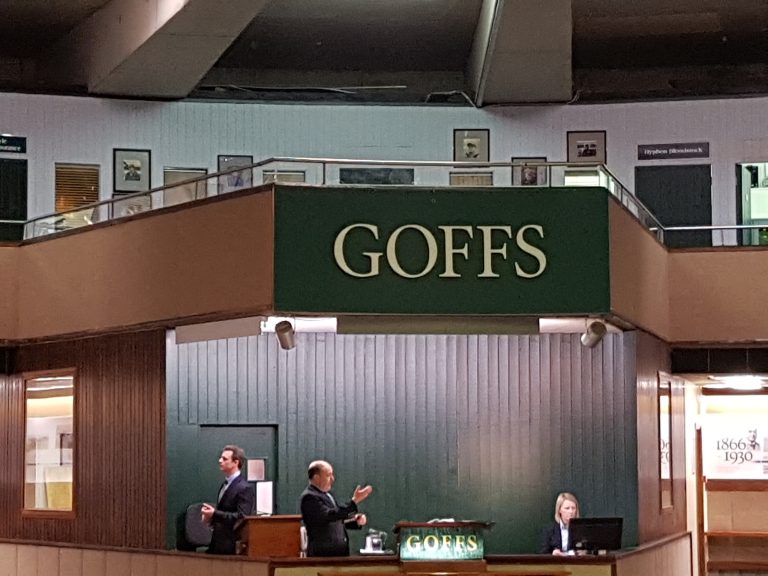 Goffs: Neue Point-to-Point-Auktion im Februar