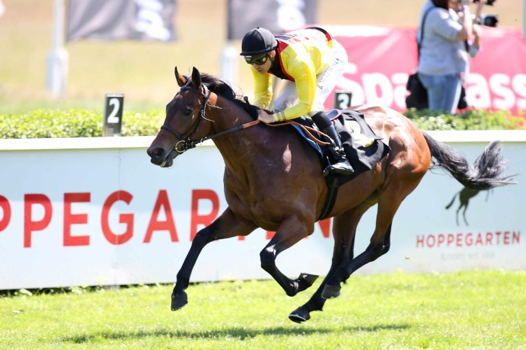 Holt ein „Berliner“ den Preis der Landeshauptstadt Dresden?