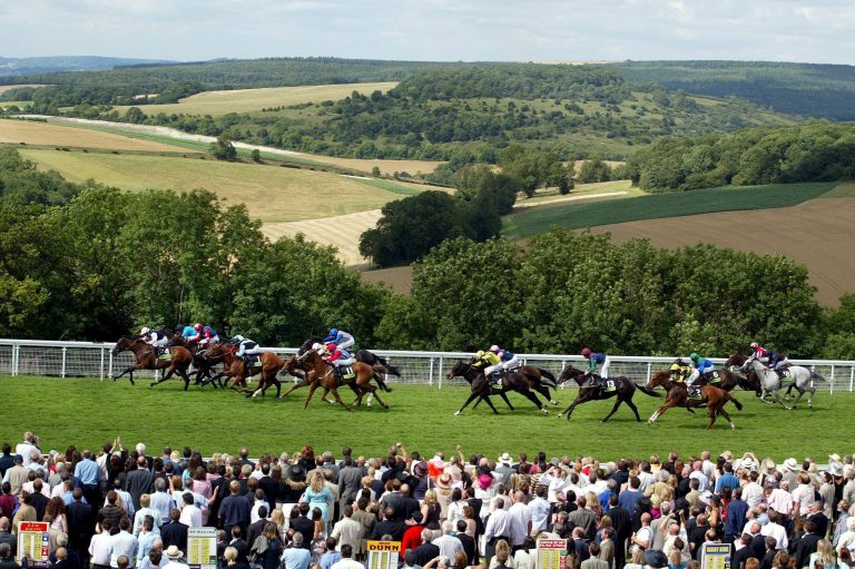 Die Rennbahn von Goodwood