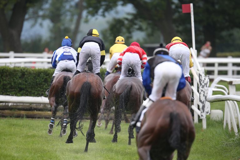 „Champagne“ für das Festival gerüstet