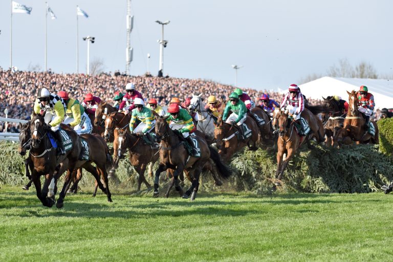England: Virtuelles Grand National