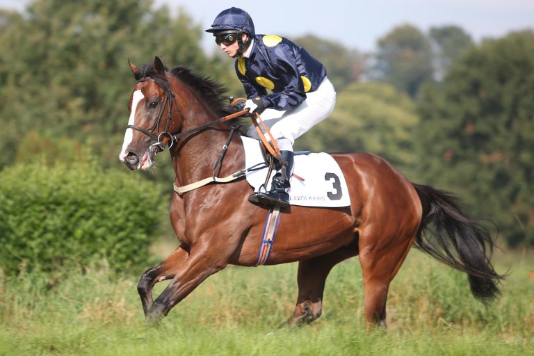 David Allen gewinnt das Indische Derby