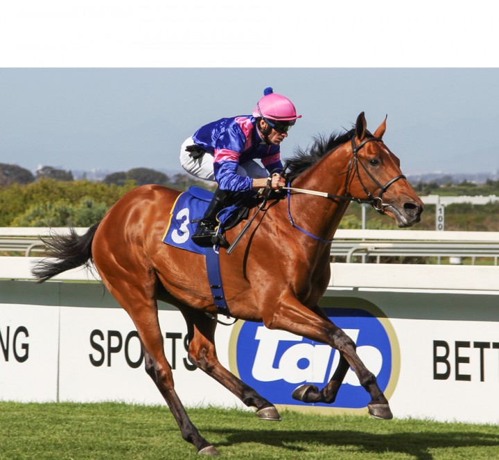 Gulf Storm mit Rieseneinsatz bis zur Linie