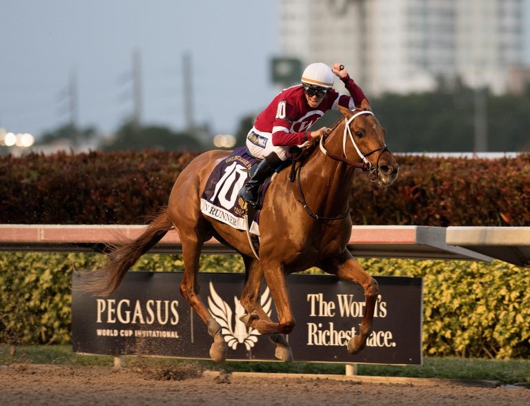 Weltrangliste: Gun Runner und Winx teilen sich die 1