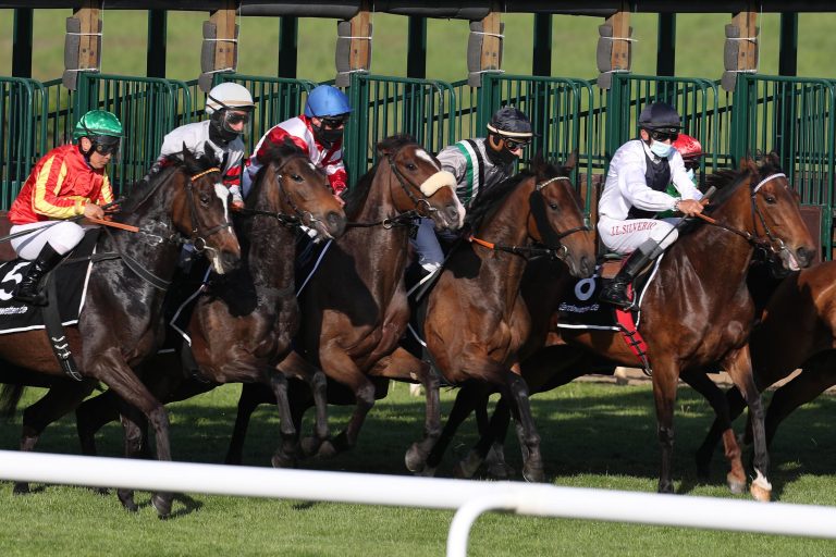 Frankreichs Turf diskutiert über „Schul-Rennen“