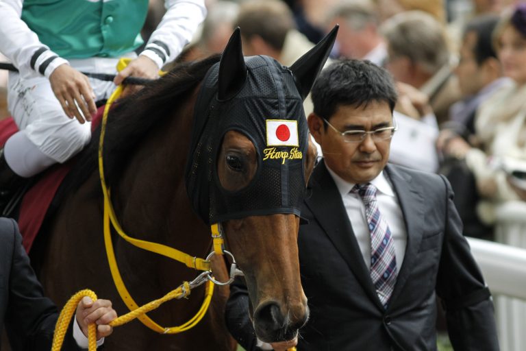 Karriereende für Klasse-Stute Harp Star