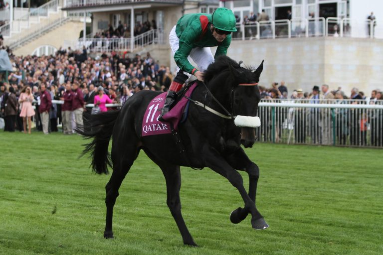 Harzands Neffe Hazapour auf Derbykurs