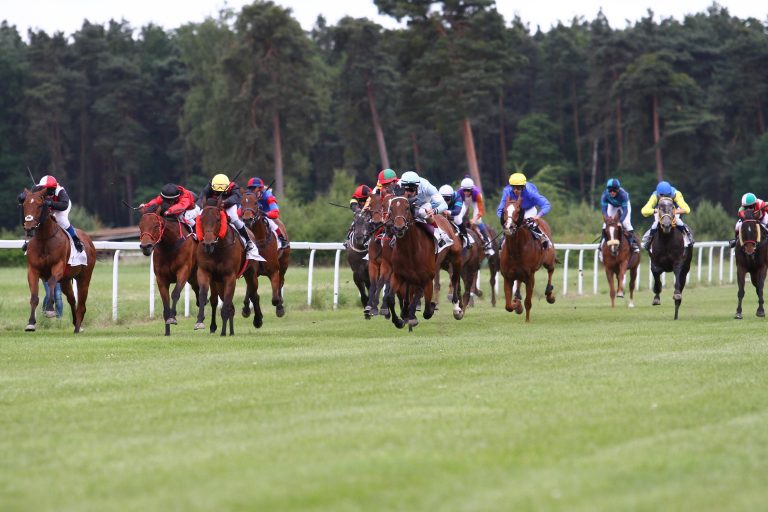 Das sind die Startboxen für die Haßlocher Meile