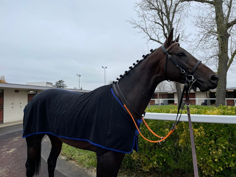 Have Dancer wurde Vierter